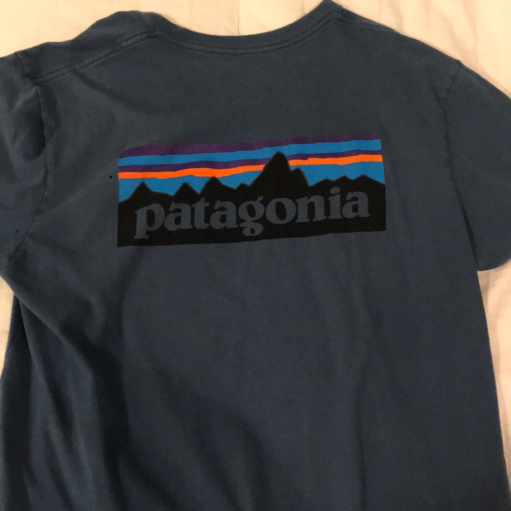 Patagonia T-shirt